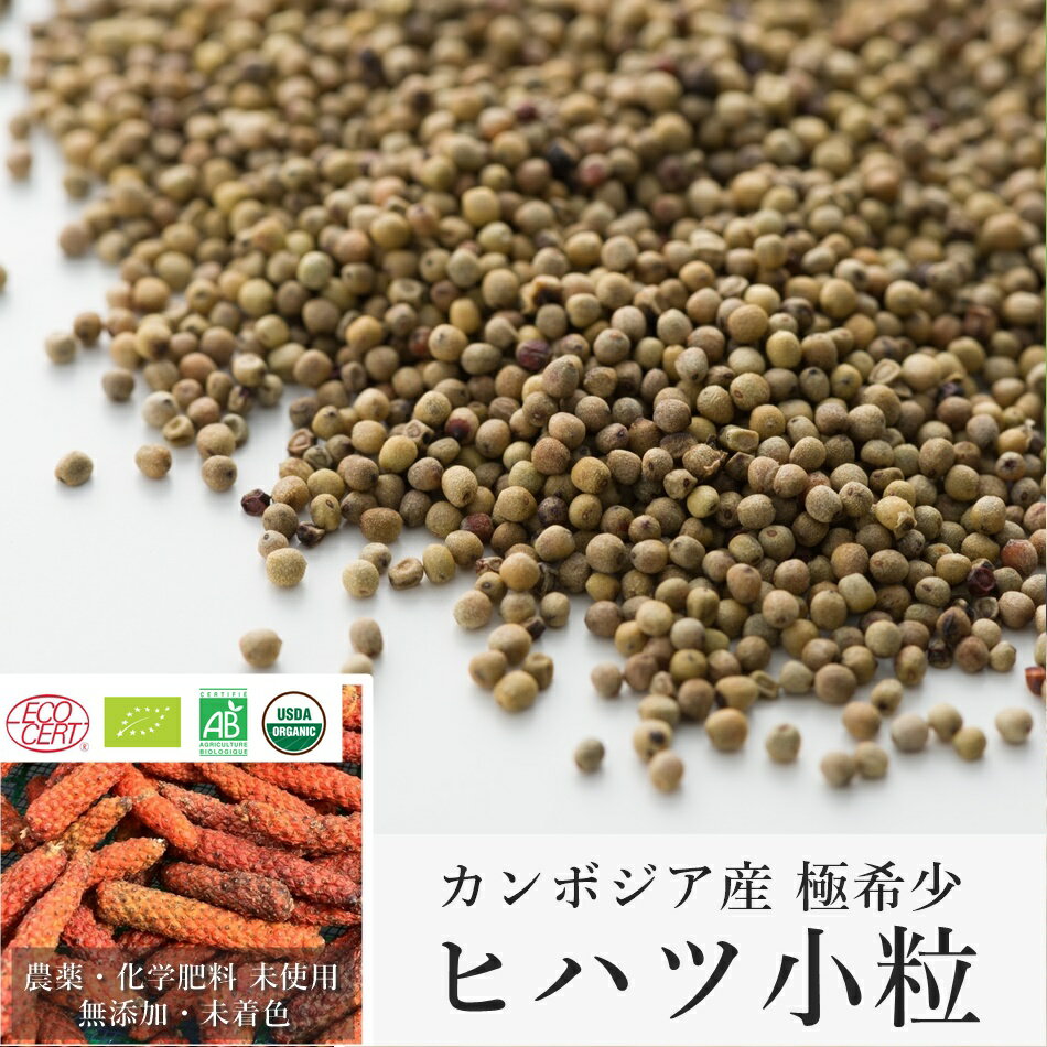 カンボジア産 最高級 ヒハツ 粒 長胡椒 (小粒) 50g 無農薬 無化学肥料 オーガニック認証取得 ...