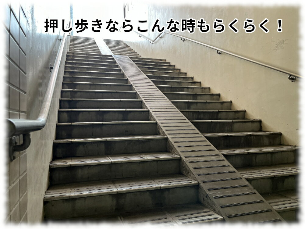 パナソニック 電動アシスト自転車 ビビ・L・押し歩き BE-FLW633T2 アースブラウン 26インチ 12A 電動アシスト自転車（大）ぱ2026年モデル 父の日 プレゼント 実用的 3~6日で発送予定 2