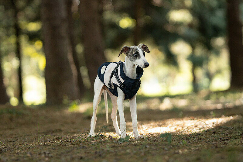 犬 小型犬 大型犬 犬用 服 冬 ジャンパー 犬の服 ジャケット コート ハーネス一体型 防寒 ドッグウェア S M L XL XXLサイズ ペット用 中型犬 撥水加工 洗え 防汚 ベスト 2