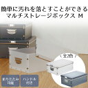モエティ ウォークインクローゼット マルチストレージM LIVPLUS | クローゼット 押し入れ収納 収納 シンプル クローゼット収納 小物収納 ハンカチ ハンドタオル 整理整頓 小物整理 A4書類 折りたたみ 小物衣類 マフラー 手袋 収納ボックス 小物 ボックス 収納箱 押し入れ