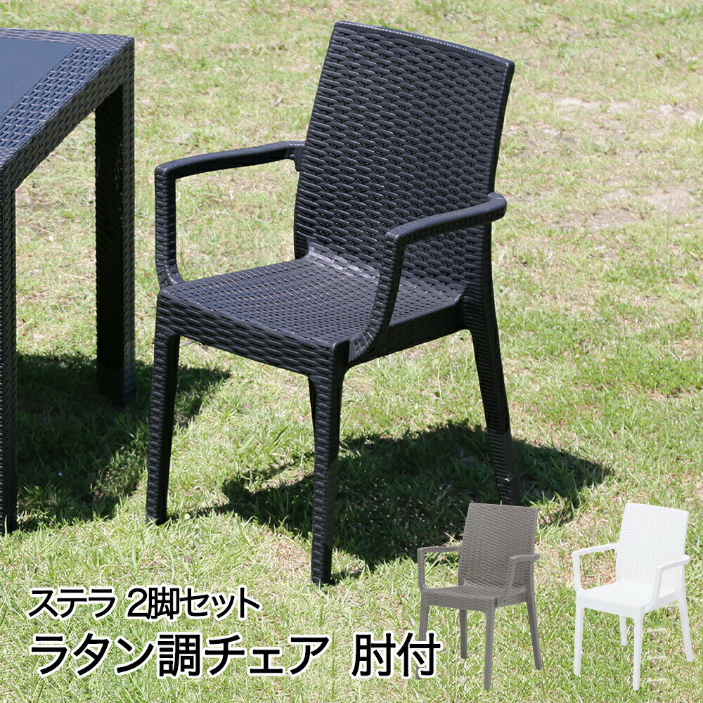 ラタン調 チェア 肘付 2脚セット ス
