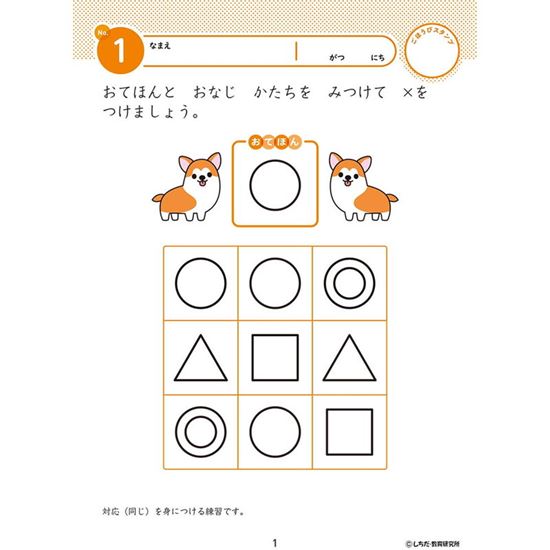 七田式 知力ドリル 2歳 3歳 ちえやってみよう 幼児の脳 知育 発育促進カリキュラム【メール便 送料無料】 3