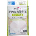 包帯 ネット包帯 ケアハート そのまま使えるネット包帯 ガーゼ 湿布 固定 ひじ・手首用 1枚入(4)