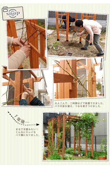 天然木製 薔薇 フェンス フレックスパーゴラアーチ 門 ローズアーチ バラ アーチ 平地金具付 連結アーチ バラアーチ アーチ ナチュラル 北欧 朝顔 木製アーチ おしゃれ 蔦 ツタ つた ロマンチック トレリス ラティス 園芸支柱 ガーデンアーチ 木製 アーチ フレックス 天然木製 薔薇 フェンス フレックスパーゴラアーチ 門 ローズアーチ バラ アーチ 平地金具付 連結アーチ バラアーチ アーチ ナチュラル 北欧 朝顔 木製アーチ おしゃれ 蔦 ツタ つた ロマンチック トレリス ラティス 園芸支柱 ガーデンアーチ 木製 アーチ フレックス
