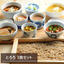 そば 生蕎麦 生そば 信州 雪蔵そば 3食セット つゆ付き とろろ お取り寄せグルメ