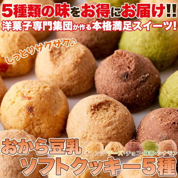 おからクッキー おから豆乳 ソフトクッキー 1kg ヘルシー 満腹