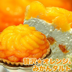 オレンジ＆みかん タルト 5号 オレンジタルトケーキ ホールケーキ フルーツケーキ 冷凍