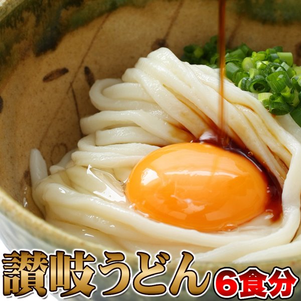 讃岐うどん 6食分(300g×2)鎌田醤油特製だし醤油付 製麺所直送 本場讃岐うどん【メール便】