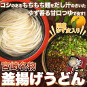 釜揚げうどん 宮崎名物 もちもち麺 ゆず香る甘口つゆ 6食セット(3食×2個)【メール便 送料無料】