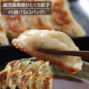 餃子 鹿児島黒豚 ひとくち餃子 45個入 15個x3パック パリパリ ジューシー 冷凍餃子 お取り寄せ グルメ