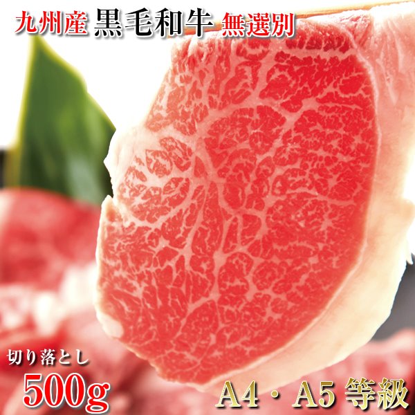 a ؂藎Ƃ 500g BY јa A4EA5 I ؂藎Ƃ Ă