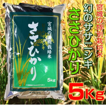 【新米】30年産 宮城県産特別栽培米 ささひかり 5kg 幻のササニシキ ササニシキ 米 お米 白米