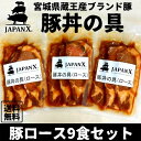 豚丼の具 国産豚 JAPAN X ジャパンエックス 仙臺豚丼 肩ロース肉 9食分 1袋160g 冷凍便