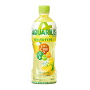 アクエリアス 1日分のマルチビタミン 500ml ペットボトル スポーツ飲料 ドリンク 2ケース 48本入