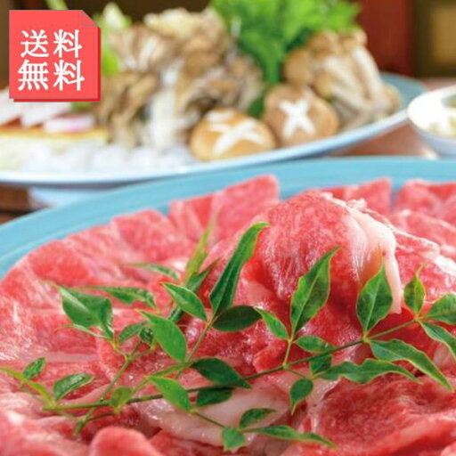 牛肉 飛騨牛 500g 牛肩ロース しゃぶしゃぶ すき焼き ブランド牛 飛騨 和牛 すきしゃぶ 鍋 ビーフ 冷凍 直送品 牛肉 飛騨牛 500g 牛肩ロース しゃぶしゃぶ すき焼き ブランド牛 飛騨 和牛 すきしゃぶ 鍋 ビーフ 冷凍 直送品