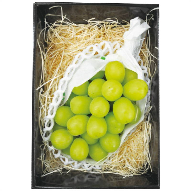 お歳暮 ギフト 2025 御歳暮 長野県産 シャインマスカット