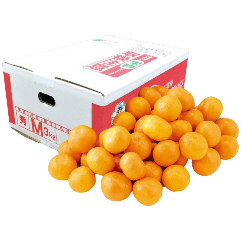 お歳暮 ギフト 2025 御歳暮 大村農園 熊本県産 天水みかん約3kg(4)