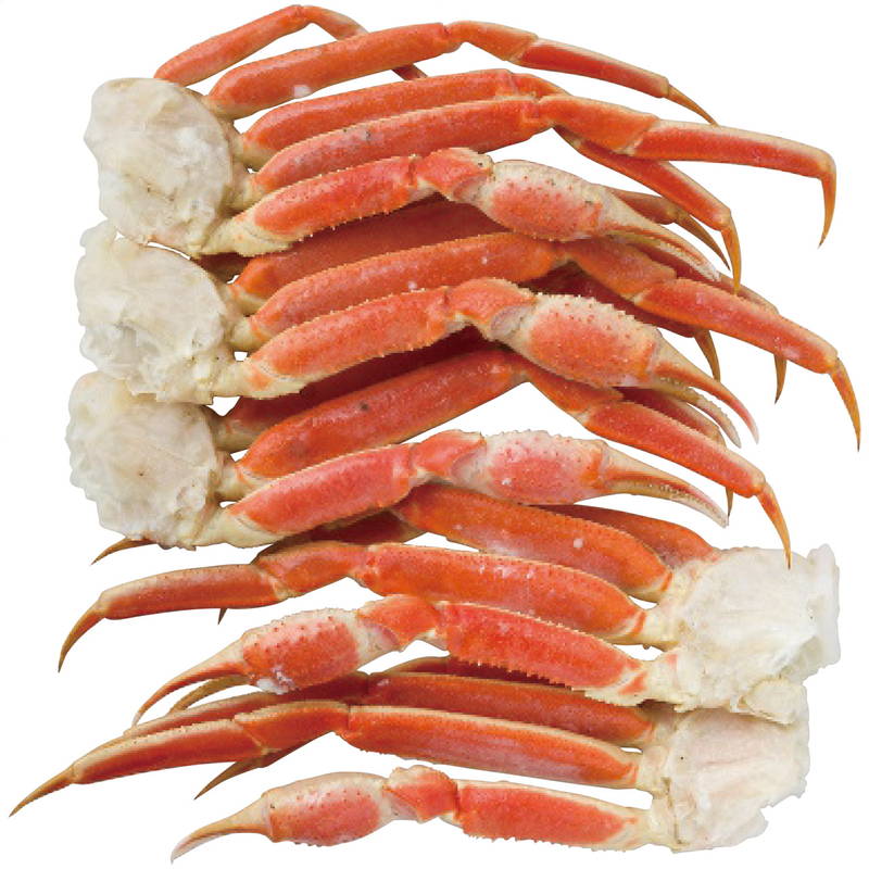 お歳暮 ギフト 2025 御歳暮 ボイルずわいがに脚 約1.2kg