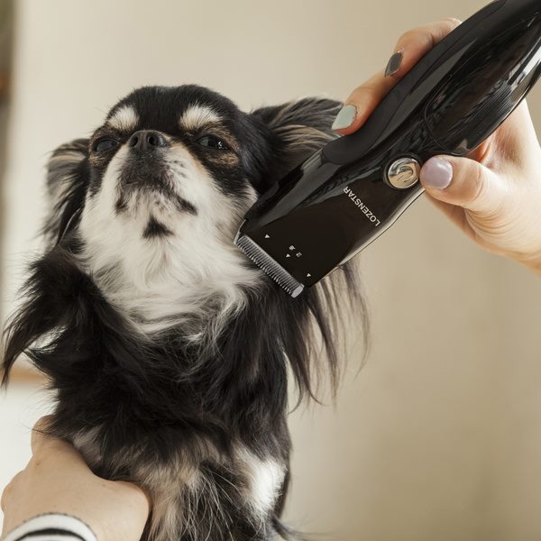 ペット用バリカン 全身用 プロ仕様刃 刃幅42mm 犬用 猫用 トリミング 充電交流式