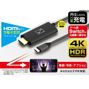 HDMI変換ケーブル アダプター タイプC-HDMI テレビ モニター接続 大画面表示 再生充電対応(2)