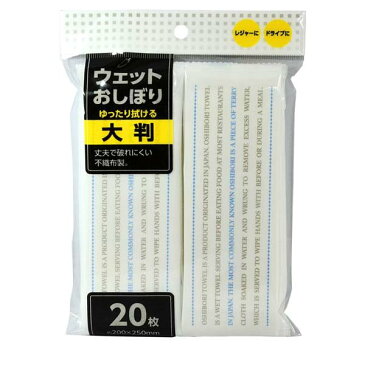 おしぼりタオル ウェットシート お手拭き 使い捨て 大判 厚手 丈夫 破れにくい不織布 20x25cm 20枚入