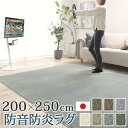 ラグカーペット 防音防炎ラグ 長方形 エイヴァ 200x250cm 多機能 高品質 高級 無地 日本製 カットオーダー