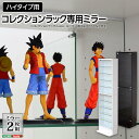 コレクションラック ルーク 専用ミラー2枚セット (ハイタイプ用 深型・浅型共通)コレクションケース用 フィギュアラック フィギュアケース コレクションラック用...