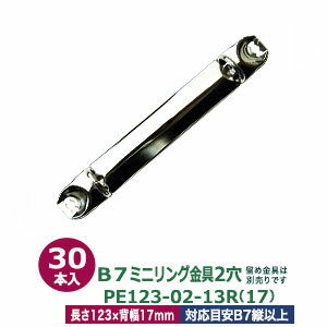 B7縦ミニリング金具【PE123-02-13R(17)】【サイズ 長さ123mm ×背幅17mm　2穴】【材質：鉄 】30本入1袋