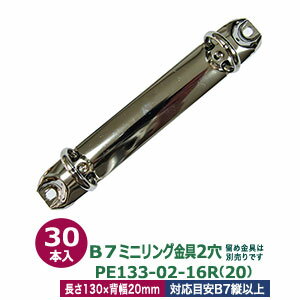 B7縦ミニリング金具【PE133-02-16R(20)】【サイズ 長さ130mm ×背幅20mm　2穴】【材質：鉄 】30本入1袋