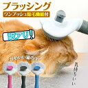 【最大1000円OFFクーポン♪更にエントリでPアップ】《お得な訳アリ...(4)