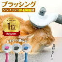 【全商品5/8までポイント5倍！】 猫 