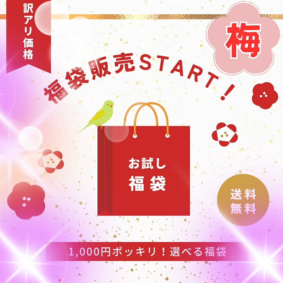 【買い忘れクーポン＆最大1000円OFFクーポン】選べる福袋