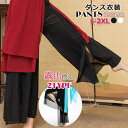 ワイドパンツ レディース 大きいサイズ チュール レース スリット ロング丈 ゆったり 透け感 ダンス衣装 ダンスウエア カジュアル 普段着 ダンス ヨガ ヨガウエア 大人可愛い シンプル エレガント きれいめ 美脚 スカートパンツ レッスン着