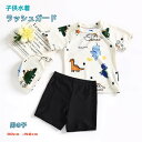 キッズ 男の子 子供水着 ミズギ 水着 2点セット セパレート ラッシュガード 幼児 フード付き 夏 恐竜 ダイナソー アニメ スイムウェア 可愛い 上下セット ショーツ 半袖 ショートパンツ パンツ 水泳 温泉 水遊び 海水浴 海辺 ビーチ カッコイイ おしゃれ