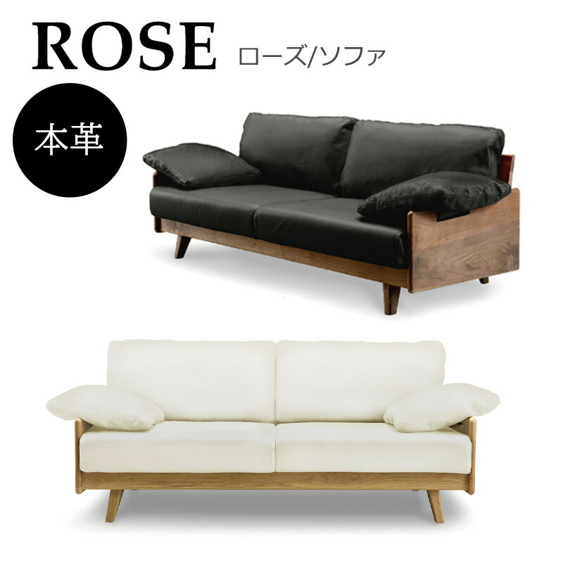 rose.jpg rose.jpg