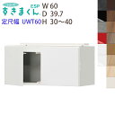 【送料無料】すきまくん シューズすきまくん 上置き 玄関収納 下駄箱 ESP-UWT60 玄関 エントランス 収納定尺幅60cm 奥行39.7cm 高さ30-4...