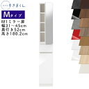 【開梱設置付き】スリムすきまくん Mタイプ ミラー扉キャビネット 幅31〜45cm 奥行52cm 高さ180.2cm M1 左開き(M1L) 右開き(M1R) ...