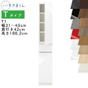 【開梱設置付き】スリムすきまくん Tタイプ 板扉キャビネット 幅31〜45cm 奥行42cm 高さ180.2cm T1 左開き(T1L) 右開き(T1R) SS...