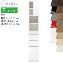 【開梱設置付き】スリムすきまくん Tタイプ 板扉キャビネット 幅15~30cm 奥行42cm 高さ180.2cm TS 左開き(TSL) 右開き(TSR) SS...