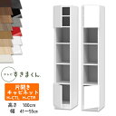 【開梱設置付き】テレビすきまくん LSD-H-CT L/R片開きキャビネット テレビボード リビング TVボード サイズオーダー品 デットスペース 有効活用 テ...