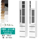 【開梱設置付き】テレビすきまくん LSD-H-AHL/R 片開き・ポリカ扉キャビネット テレビボード リビング TVボード サイズオーダー品 デットスペース 有...