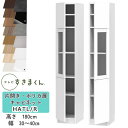 【開梱設置付き】テレビすきまくん LSD-H-ATL/R 片開き・ポリカ扉キャビネット テレビボード リビング TVボード サイズオーダー品 デットスペース 有...