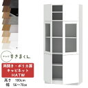 【開梱設置付き】テレビすきまくん LSD-H-ATW 両開き・ポリカ扉キャビネット テレビボード リビング TVボード サイズオーダー品 デットスペース 有効活用 テレビ台 引き出し 収納 日本製※オーダー品のためキャンセル不可幅56-70cm 高さ180.2cm 奥行42.2cm(3)