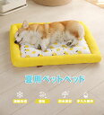 【期間限定!クーポン利用で200円 OFF!】【送料無料】 夏対策 ペットベッド 犬用 ペット ひんやりマットマット 犬 猫 ペットマット 暑さ対策 グッズ 子...