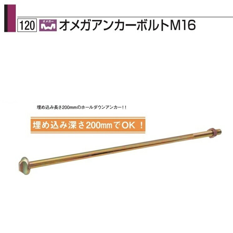 タナカ オメガアンカーボルト M16×800 AA3423 （10本入）1ケース