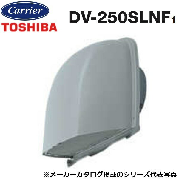 東芝／日本キヤリア　DV-250SLNF1　換気扇部材 長形パイプフード【φ250用】 ステンレス製(防虫網付)　〇