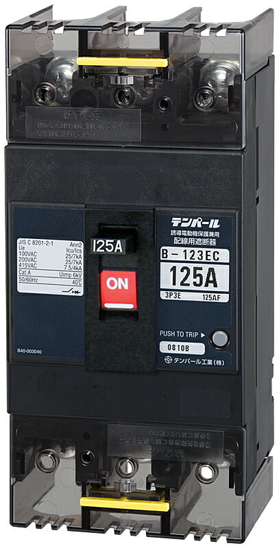 テンパール工業　B123EC12[B-123EC 125A]　配線用遮断器 Eシリーズ【経済タイプ】　Σ[Z]