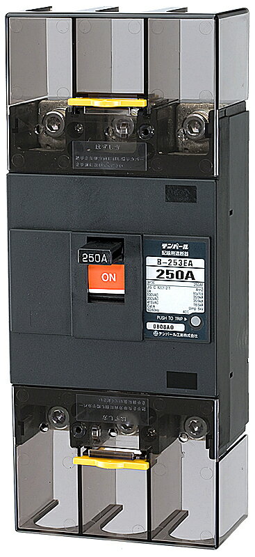 テンパール工業　B253EA25[B-253EA 250A]　配線用遮断器 Eシリーズ【経済タイプ】　Σ[Z]