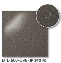 LIXIL DTL-600/OVE-3P ケース販売【3枚/ケース】 600角平(磨き面) オーバーカム 内床タイプ ⇒▽