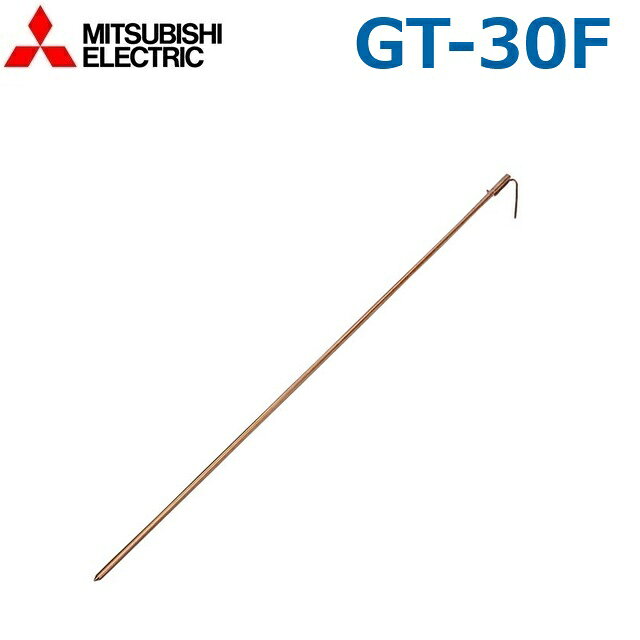 ��ɩ�ŵ���GT-30F���ŵ���������ࡿ�������塼������ ������������